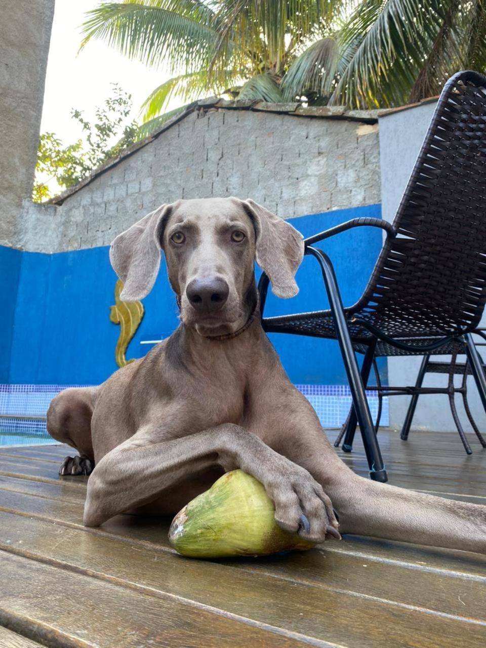 Casa Jaguar Buzios Suites A 3 Minutos Da Praia Geriba Exterior foto